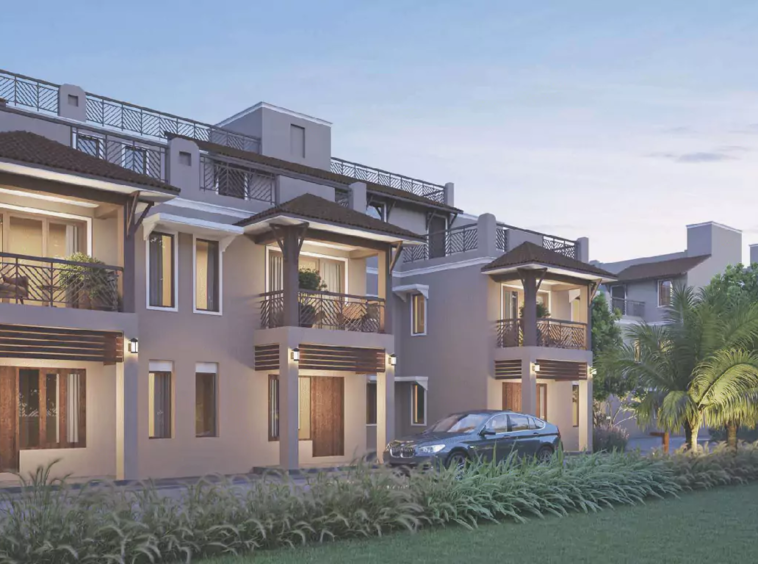 Divine by Super City in Bhadaj