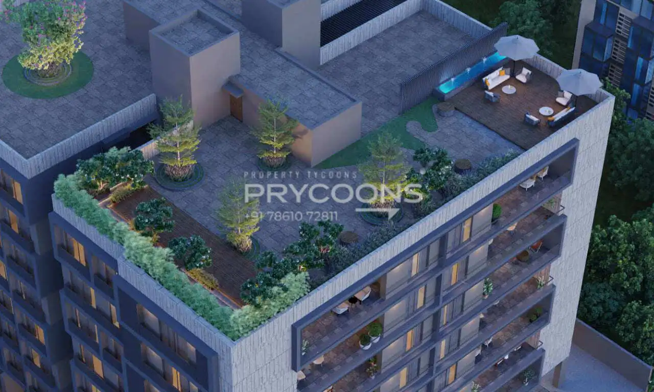 Addor the Life in Panjrapol Ahmedabad