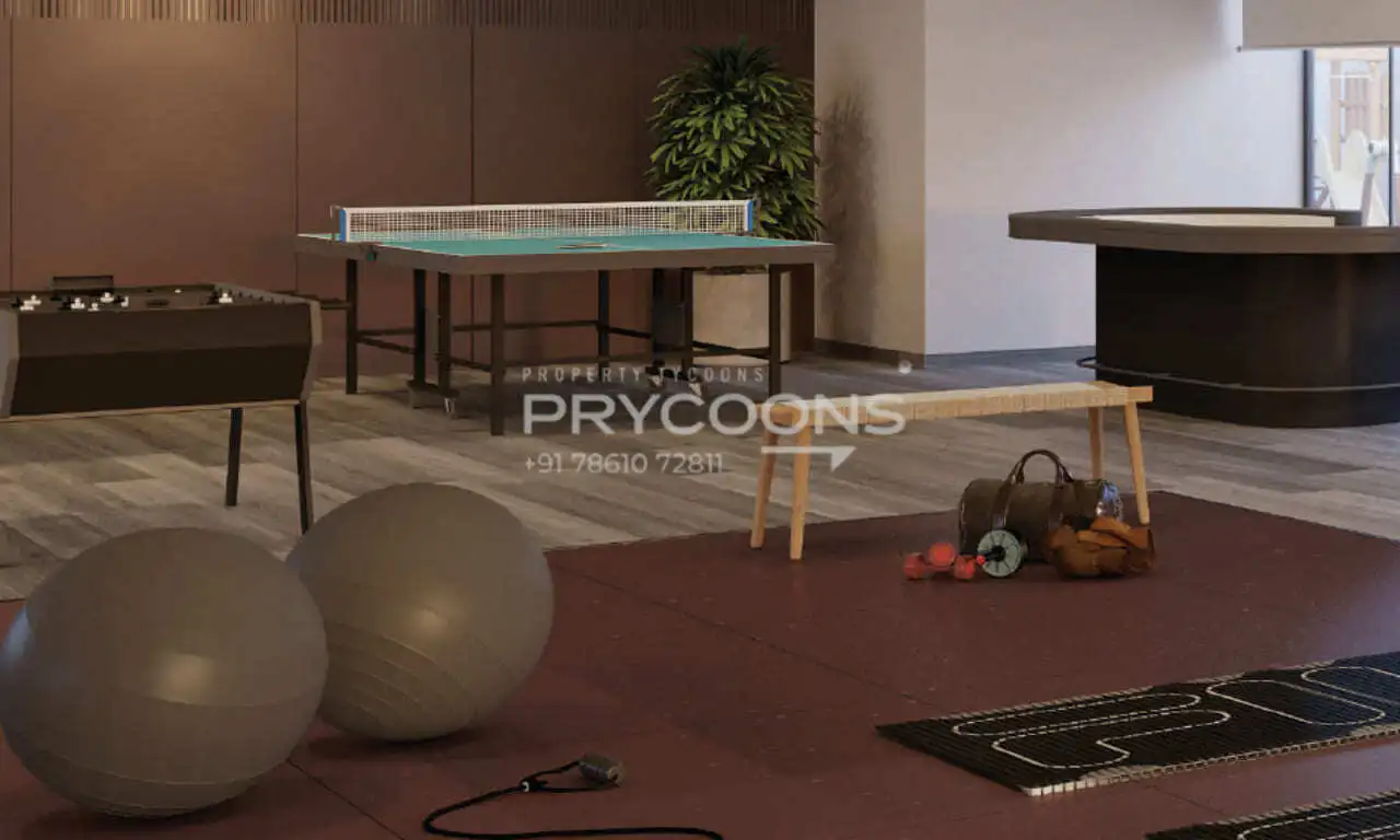 Gym - Addor the Life in Panjrapol Ahmedabad