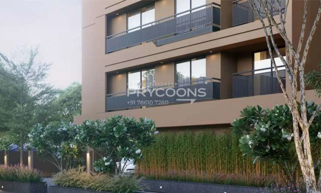 Harvi Hibiscus in South Bopal